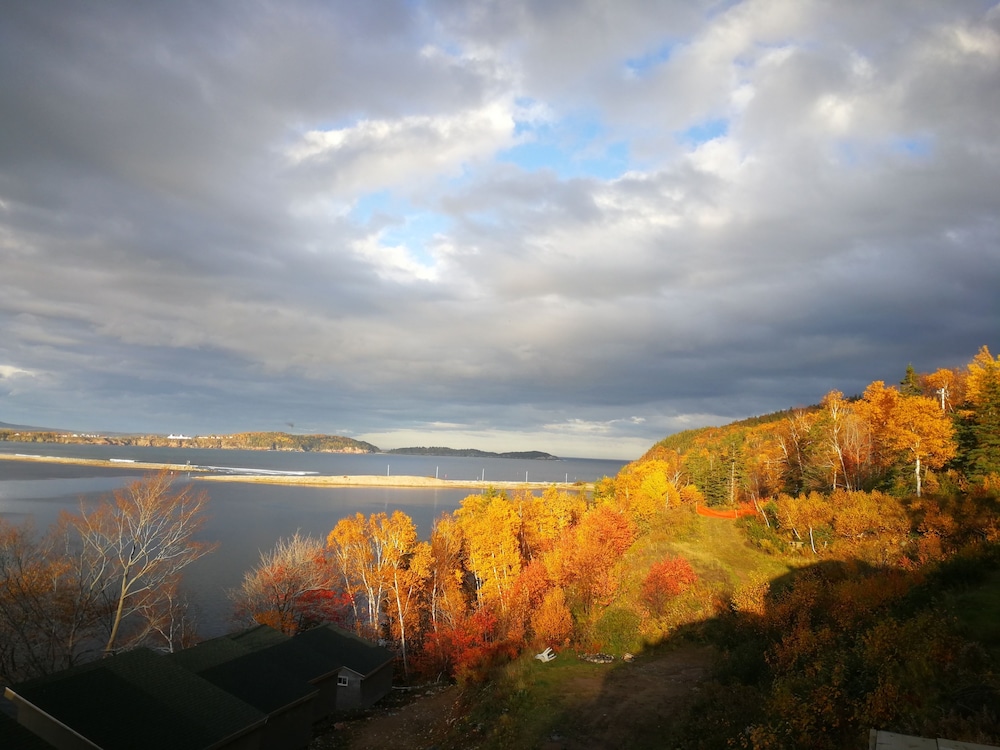 Knotty Pine Cottages