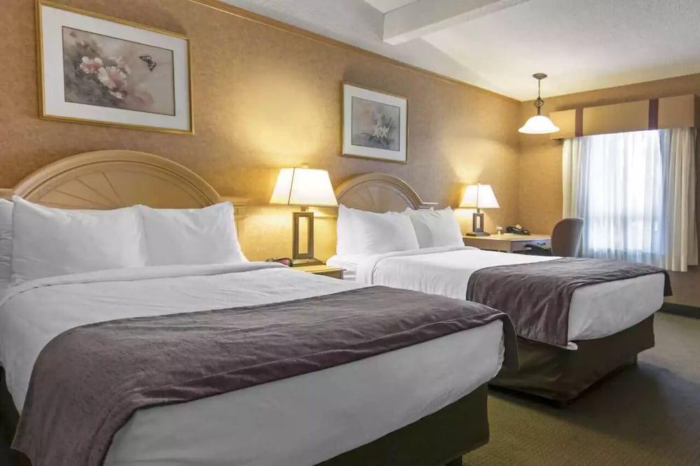 Medicine Hat Vacations - Flamingo Hotel - Property Image 5