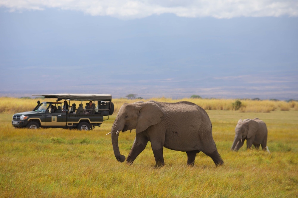 Elewana Tortilis Camp