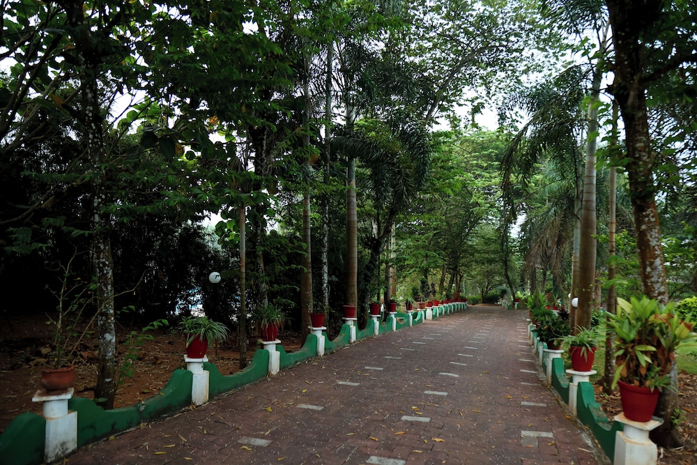 Wayanad Cave N Pillar Resort