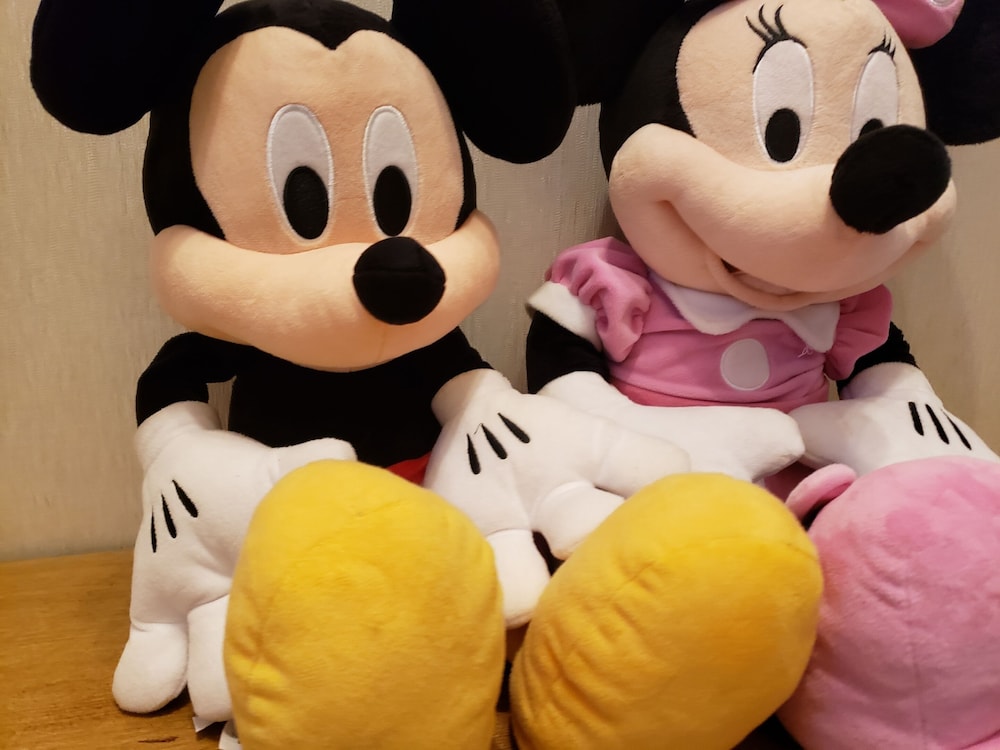 Vacation Rental Maihama view 4
