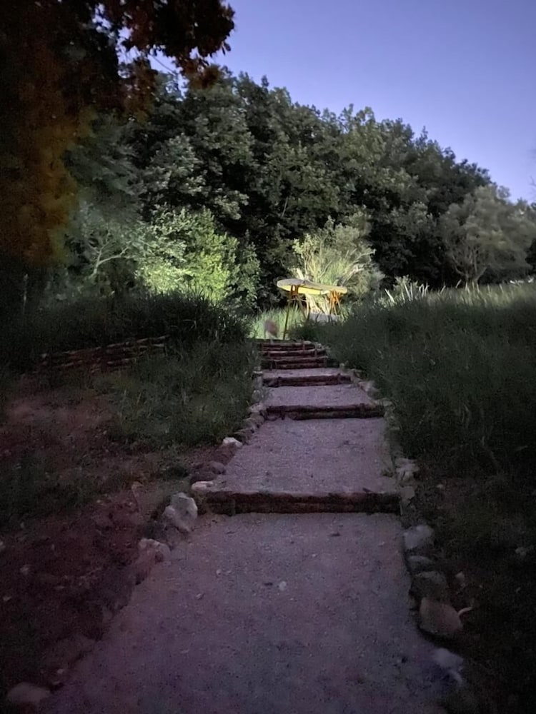 Photo 24