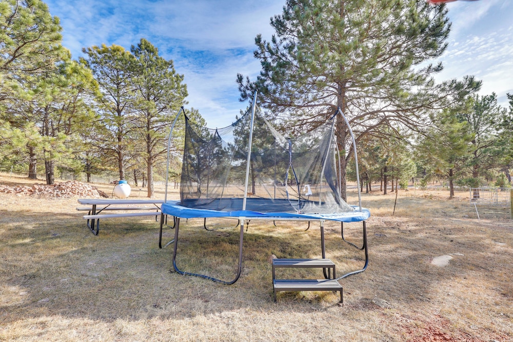 Tiny Cabin w/ Outdoor Dining Area - Near Keystone! view 3