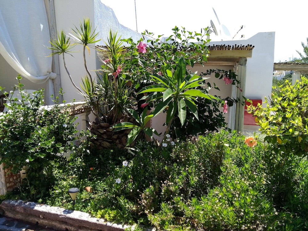 Spaceful Apartment With Veranda 'n Garden