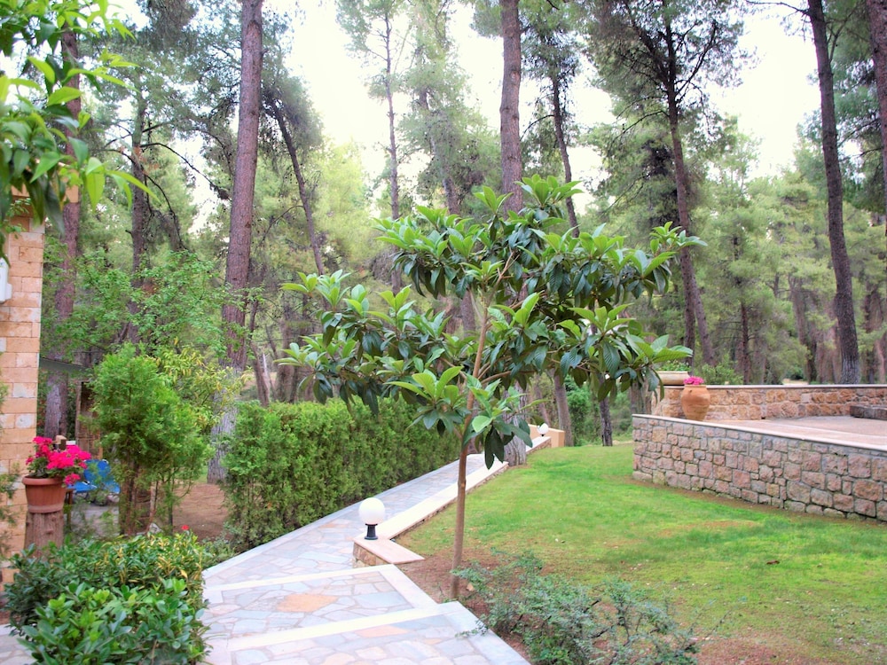 Sani Cape Villas - Stamatiadis photo 4