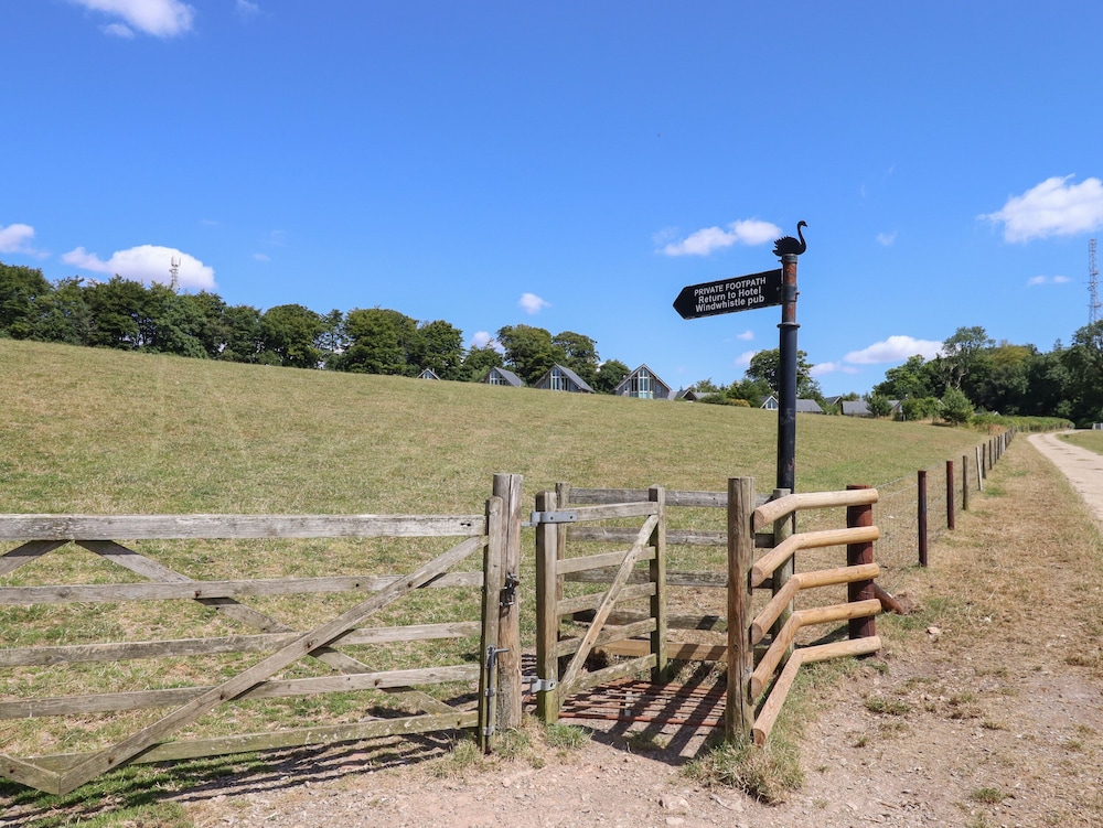 Swandown, 12 Kittwhistle