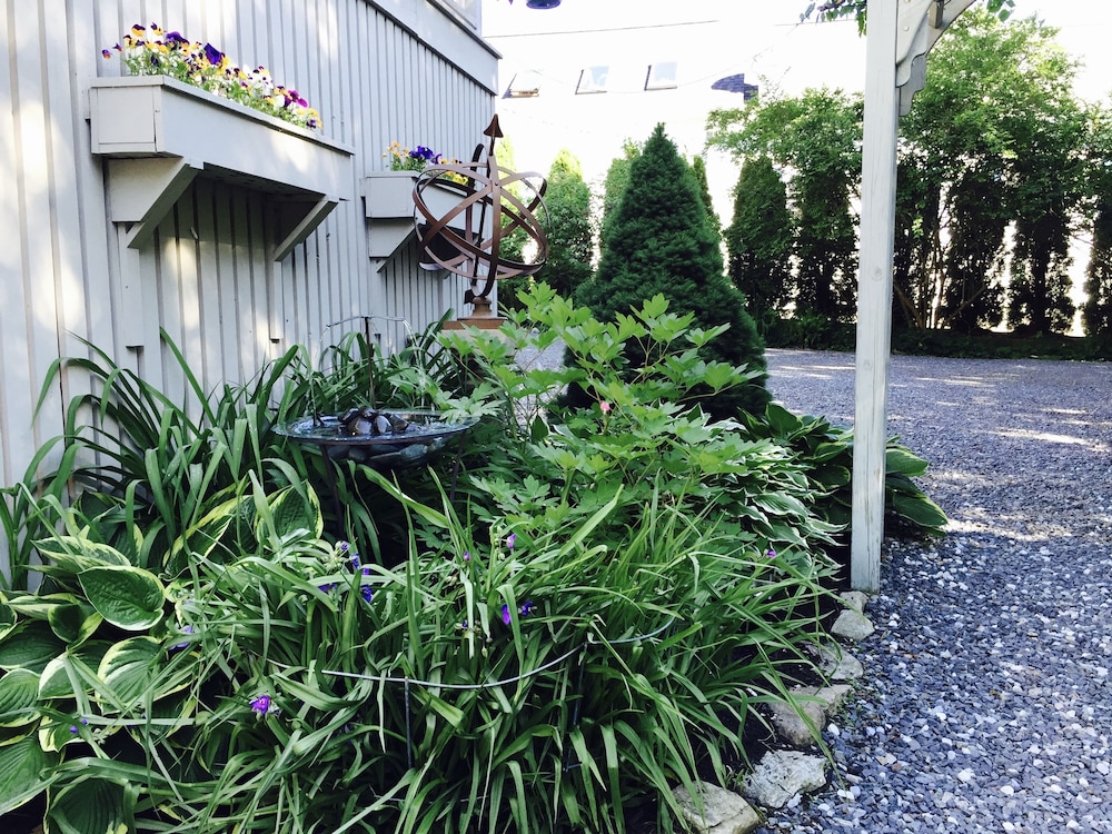 Dragonfly Guest House