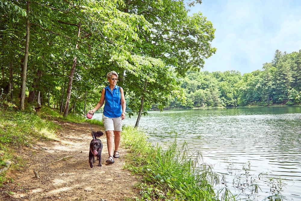 Greenbo Lake State Resort Park