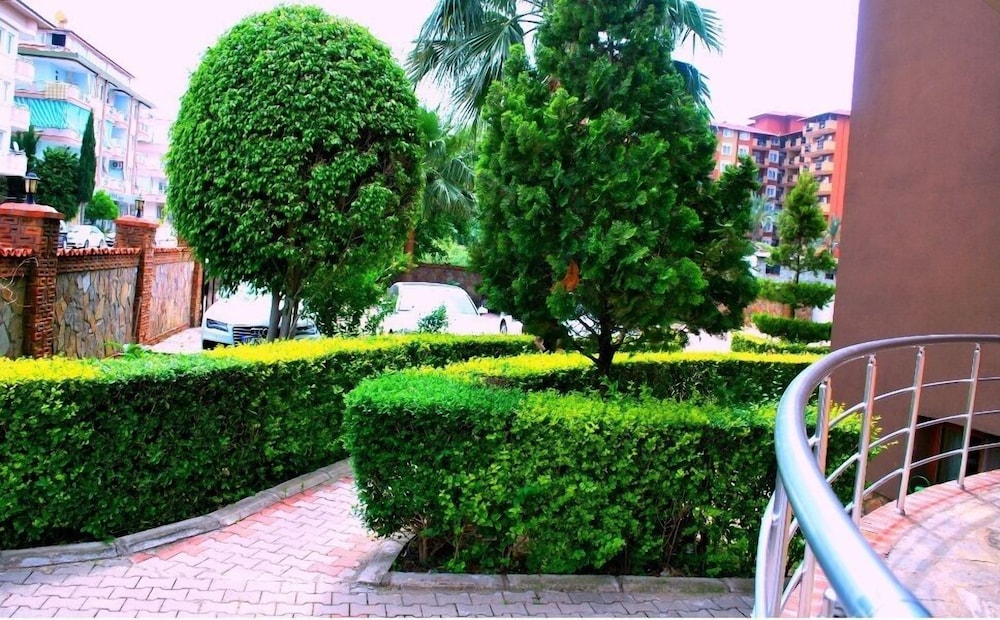 Photo 19