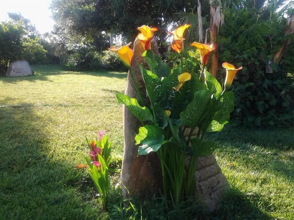 Agriturismo Naturabio