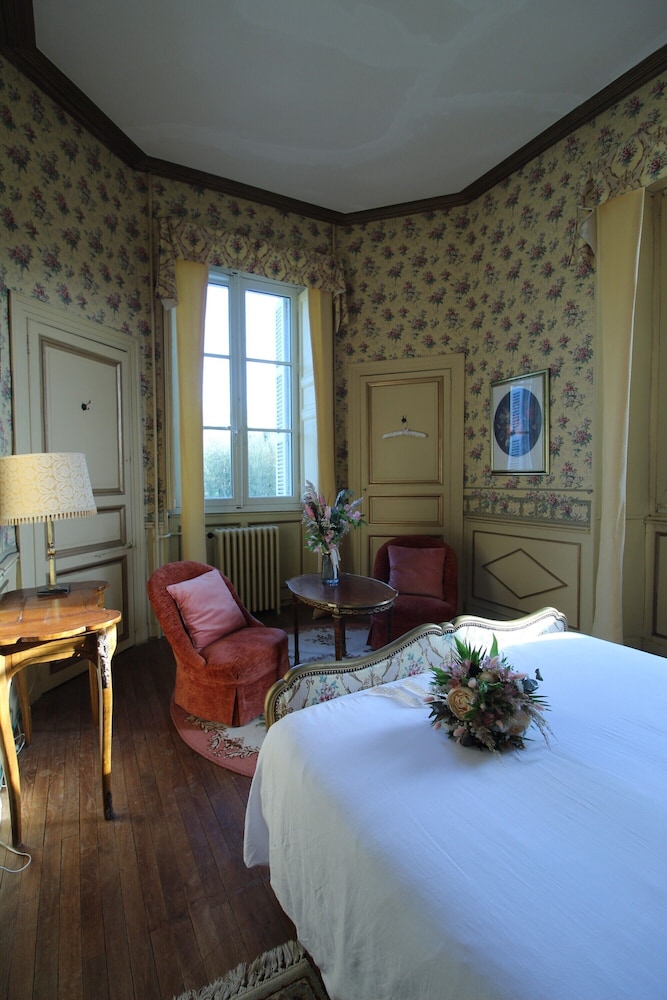 Chateau du Hallay view 4
