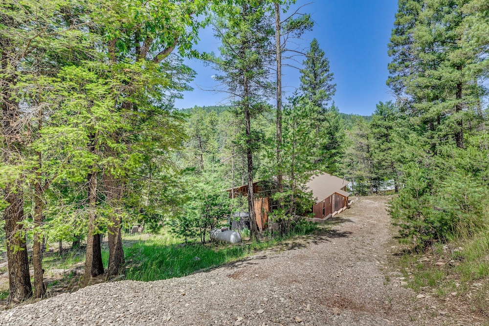 Cloudcroft Mountain Retreat  5 Mi to Skiing! - Property Image 12