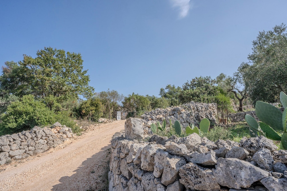 Dimora Tra Gli Ulivi