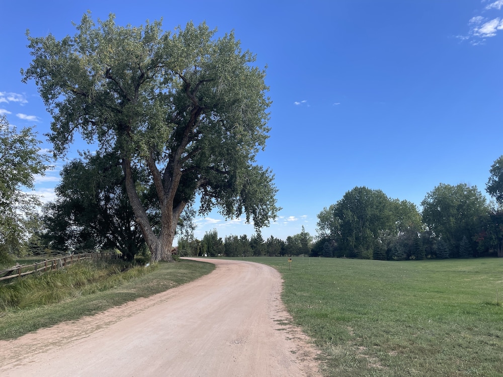 Photo 33