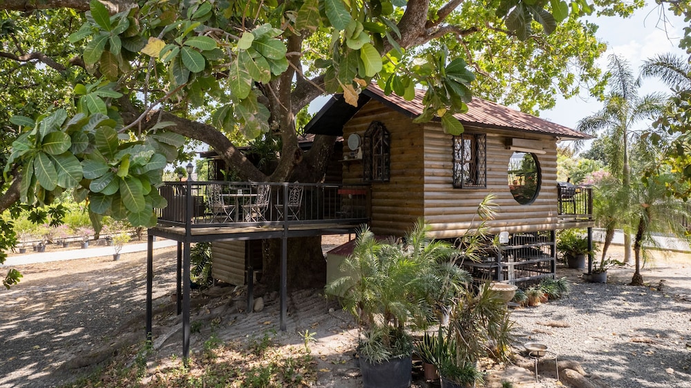 Quinta Pavo Real by Acomodo