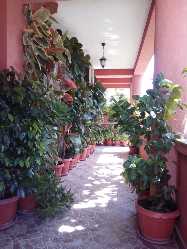 Guesthouse Mediha Nikicic