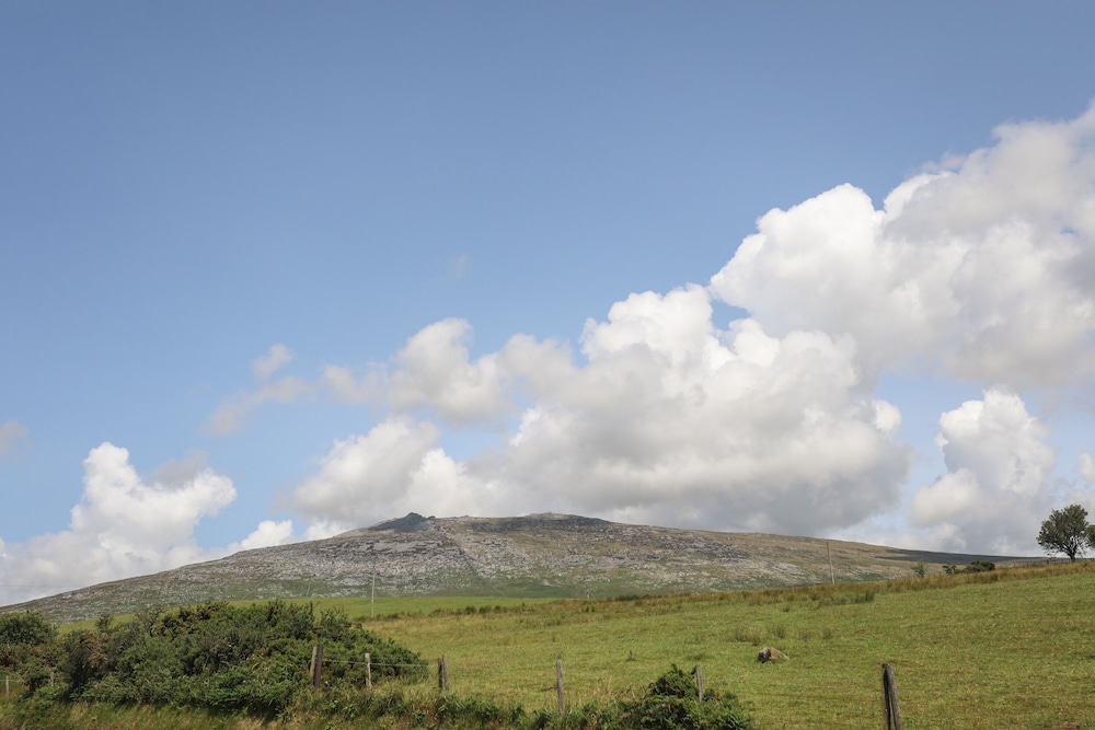 Bwthyn Derwin Fawr