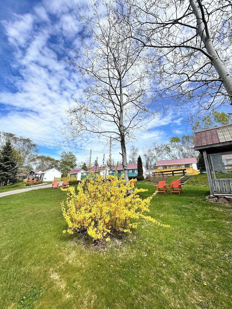 Skyline Cabins