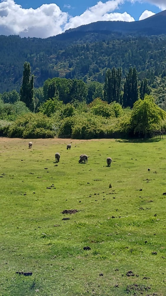Esaki Farm Near El Bolson