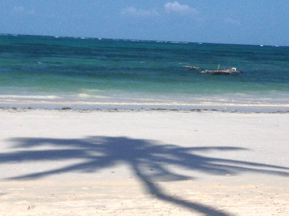 Simba Beach Zanzibar