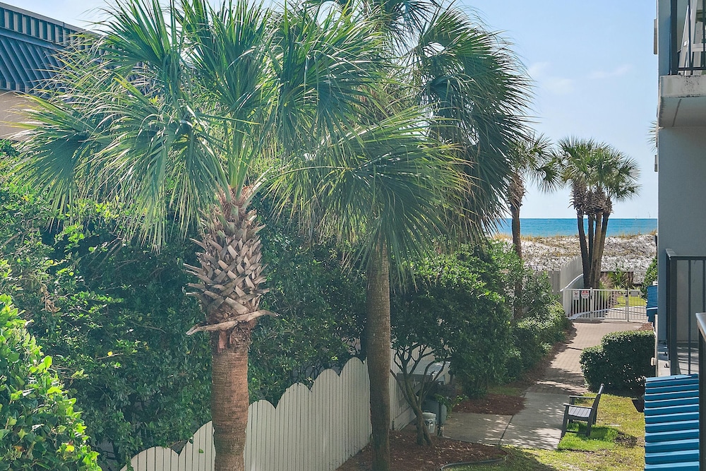 Sea Oats 211