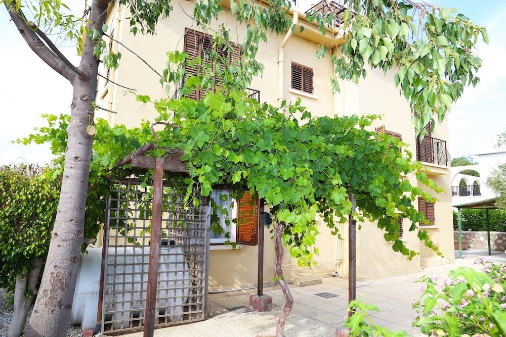 Photo 25