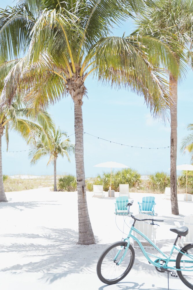 The Molloy - A Boutique Beach Resort