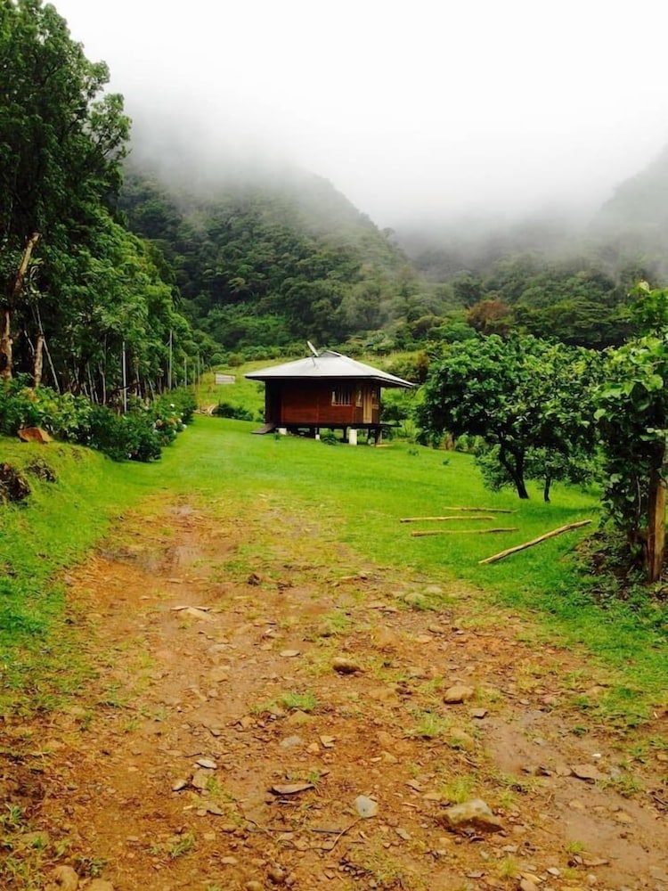 Lemon House Monteverde view 3