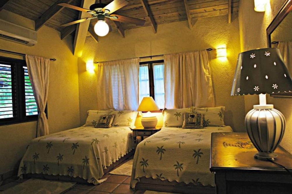 Villa Las Palmas Caribbean Family Vacation Rental view 4