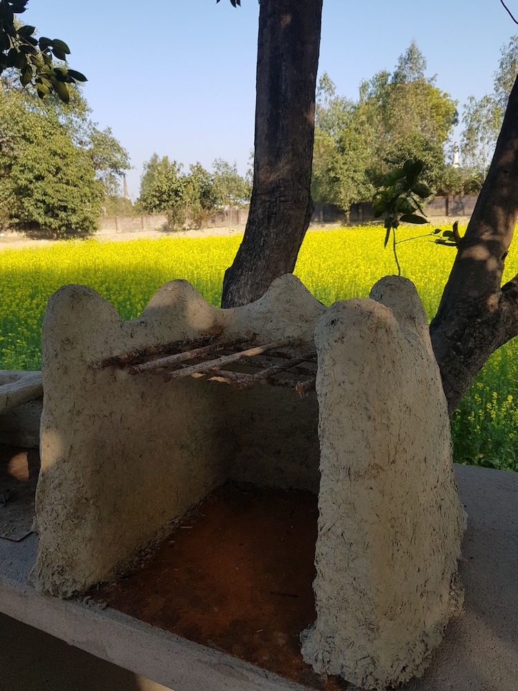 Koko's Farm