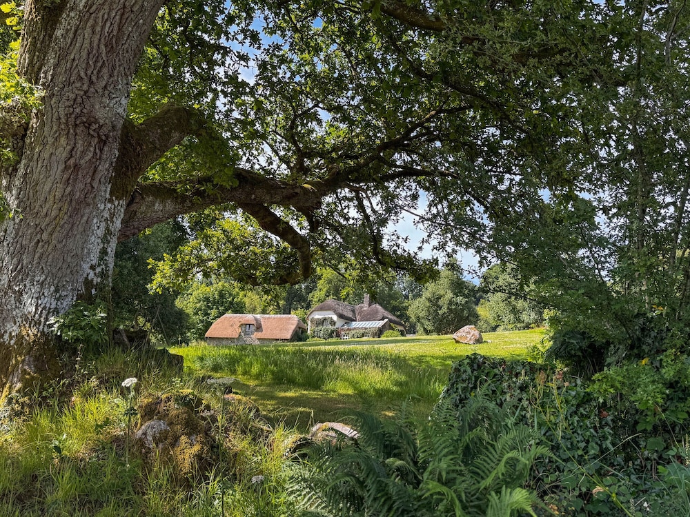 Woodtown in Chagford