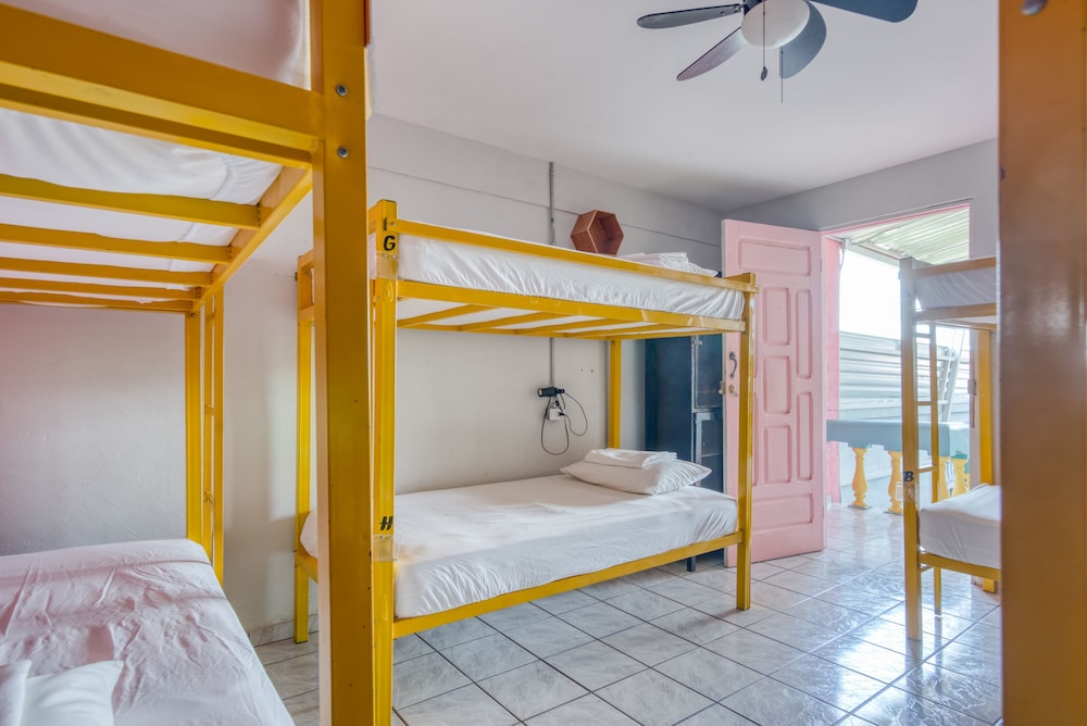 Selina Jaco - Hostel