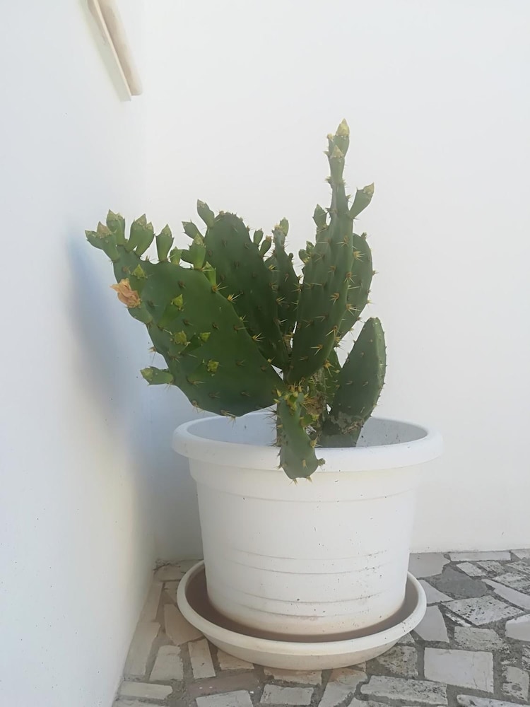 Photo 48