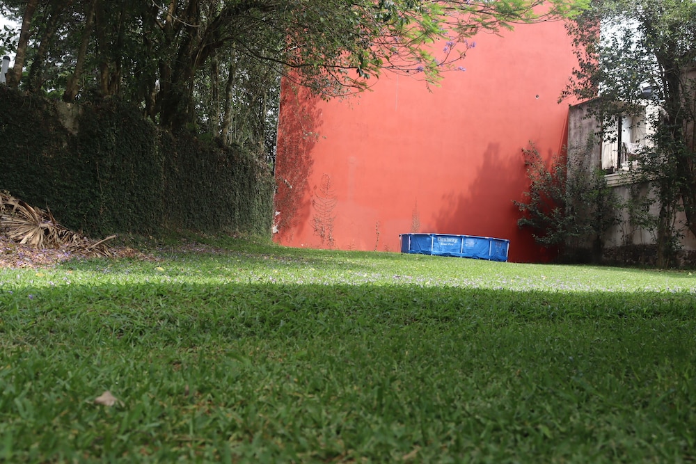 Photo 45