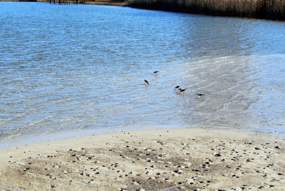Photo 42