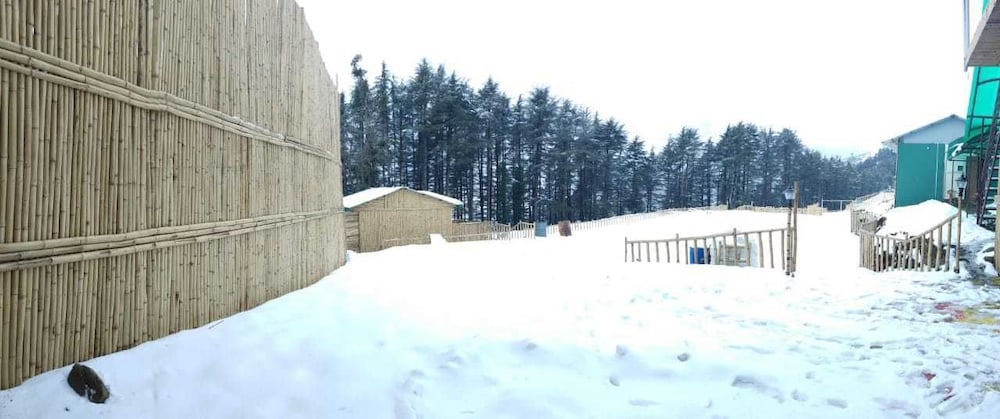 Junglee Camps & Resort view 4