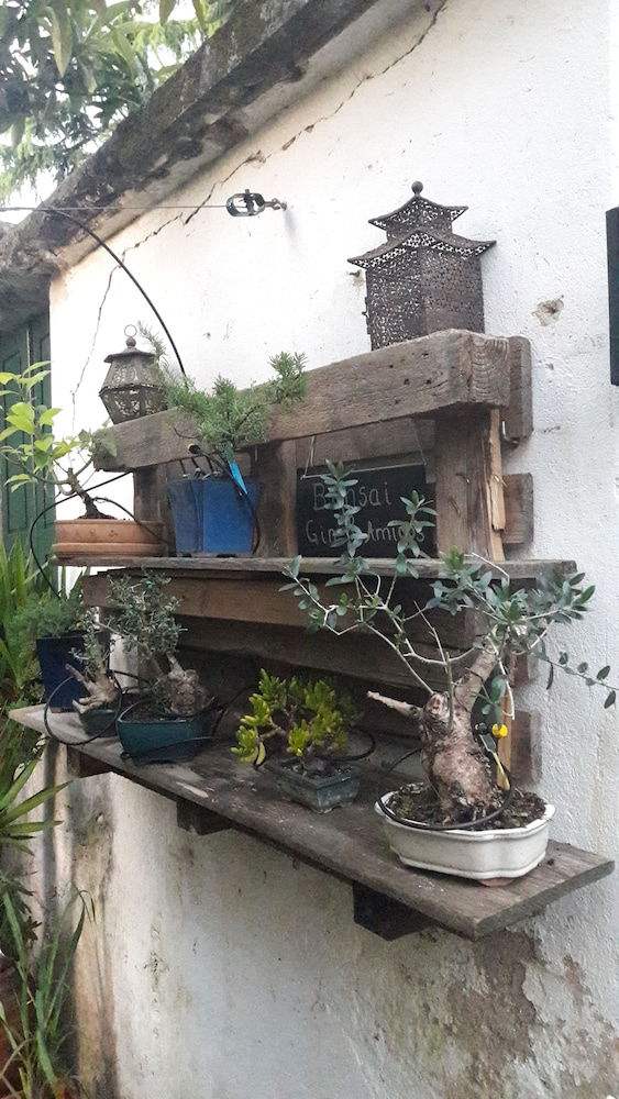 Casa Coimbra Guesthouse & Garden