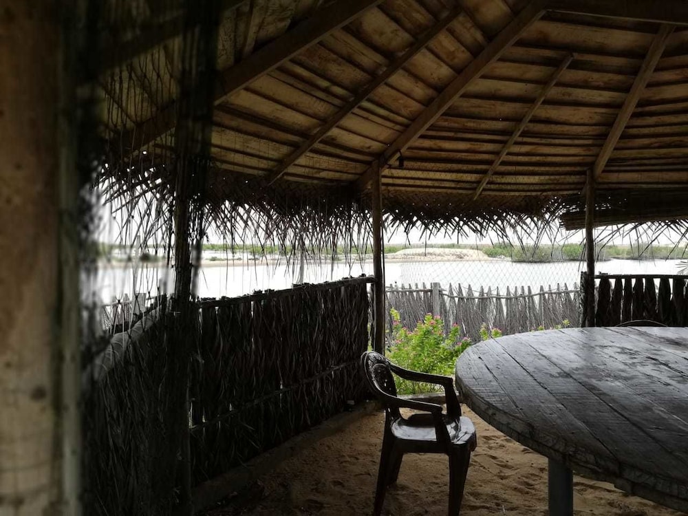 dolphin wadiya