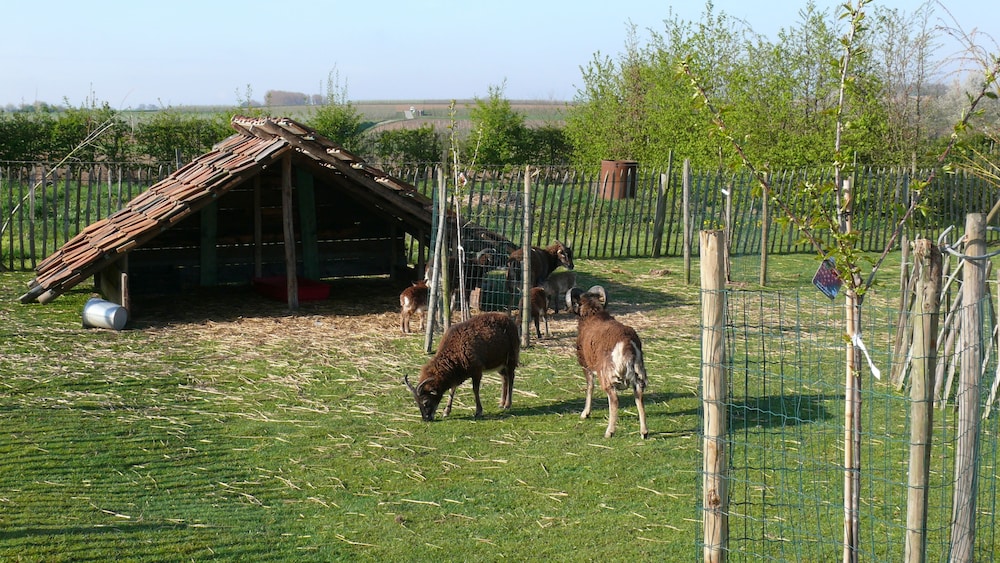 B&B Rikkeshoeve