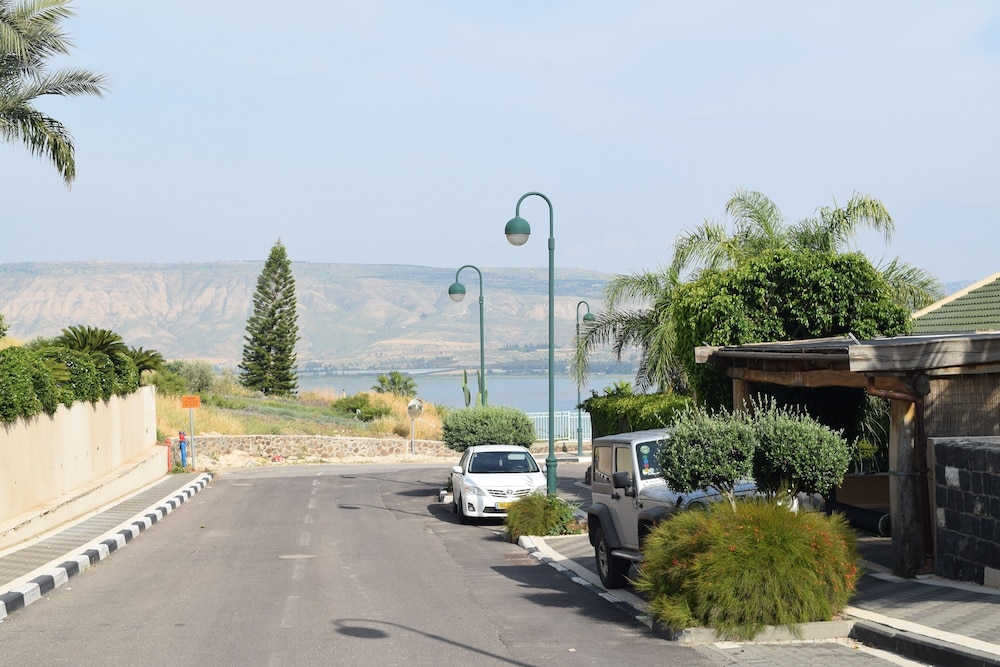 Tal Kinneret