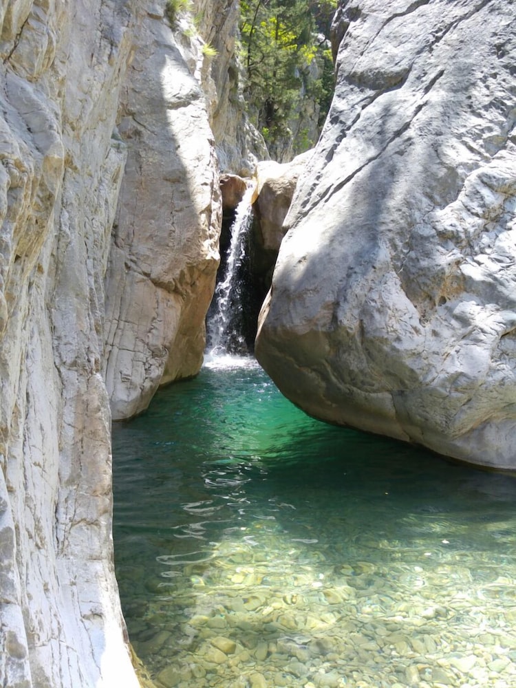 Photo 115