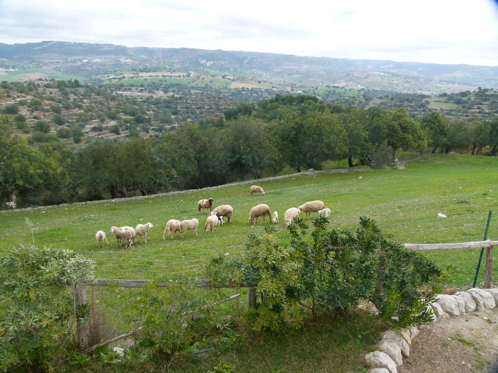 Villa Gaia Agriturismo and B&b