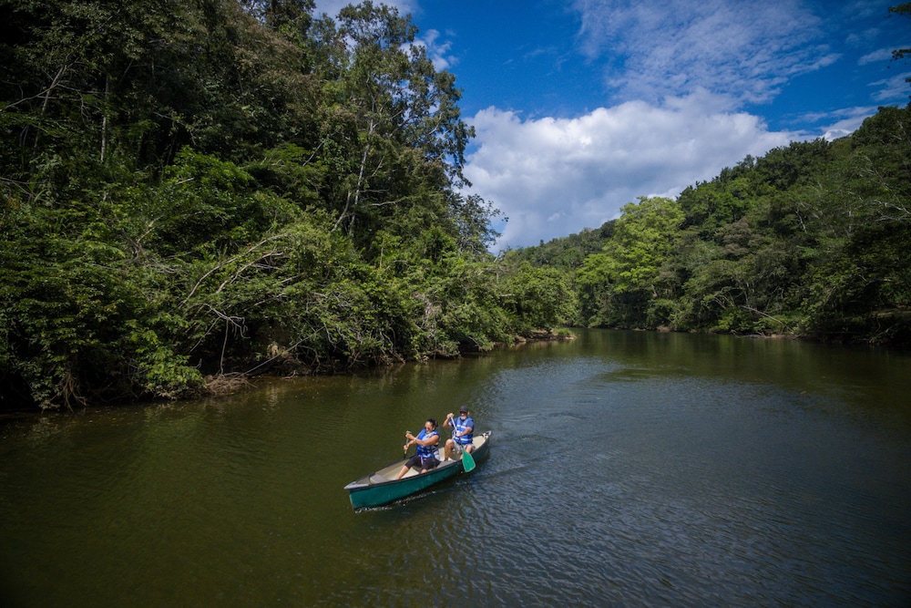 Belize Vacations - Table Rock Jungle Lodge - Property Image 63