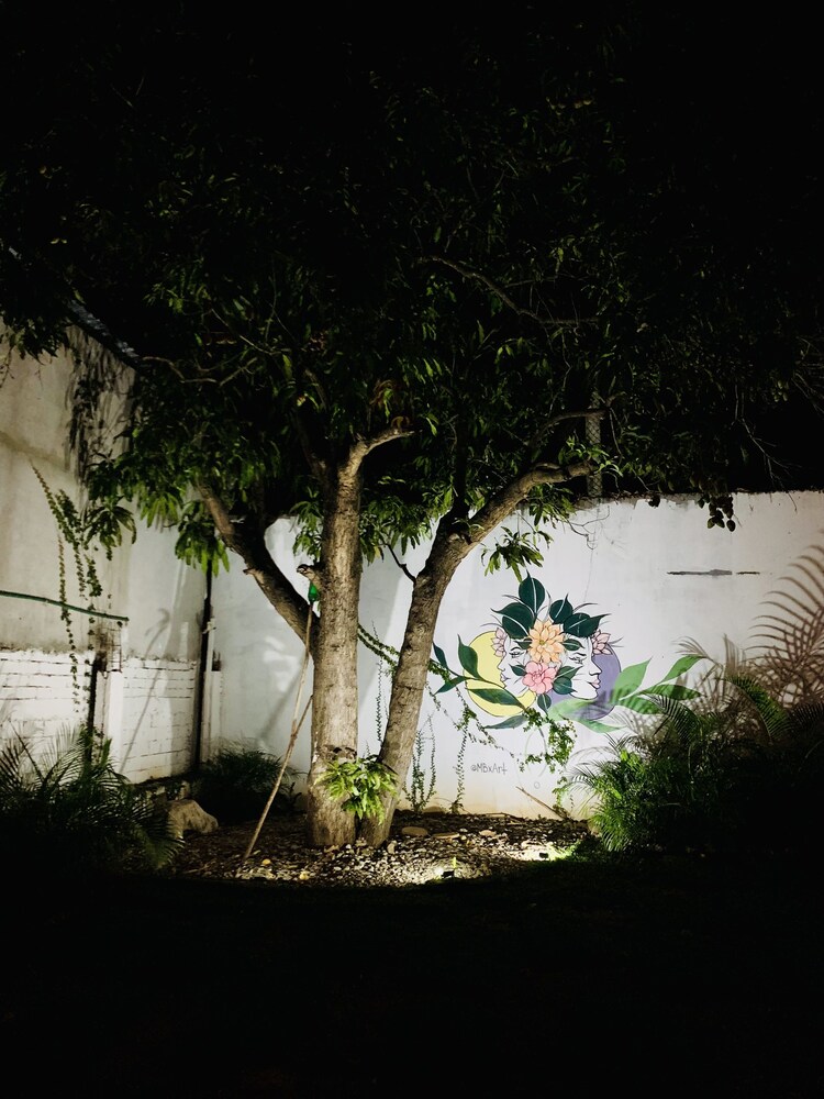Colorada House - Hostel view 5