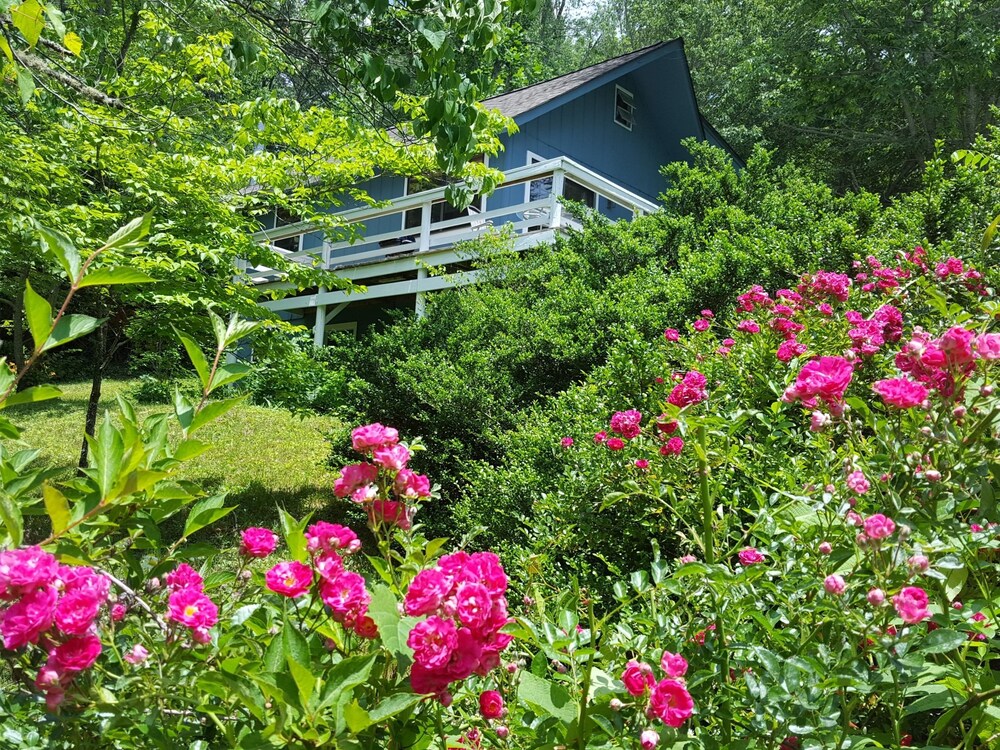 Innisfree Boutique Inn By-The-Lake