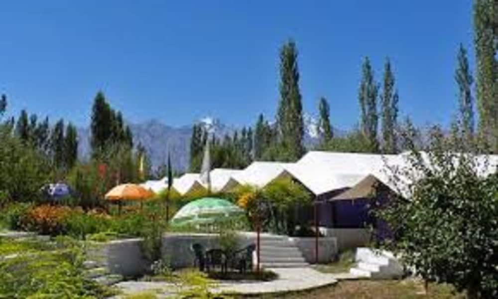 Tiger Camp