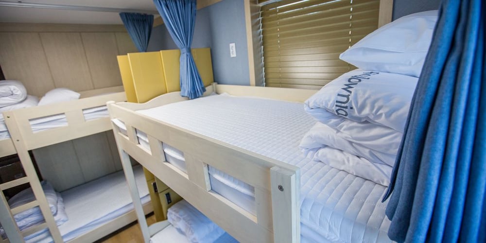 Paulownia Hostel & Guest House