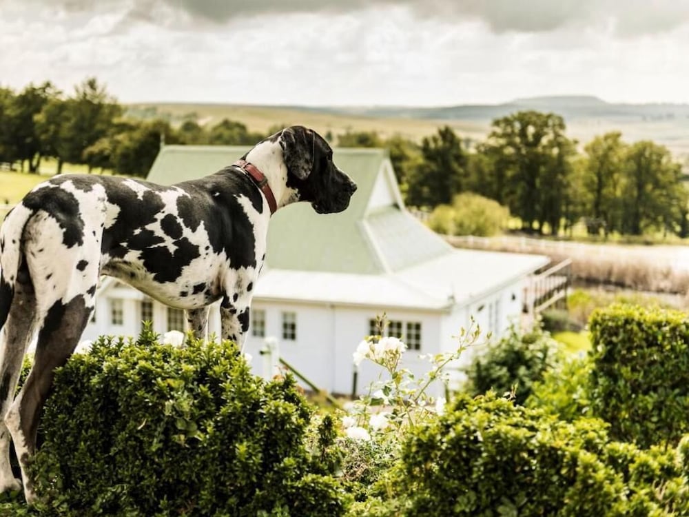 Oaklands Farm Stay