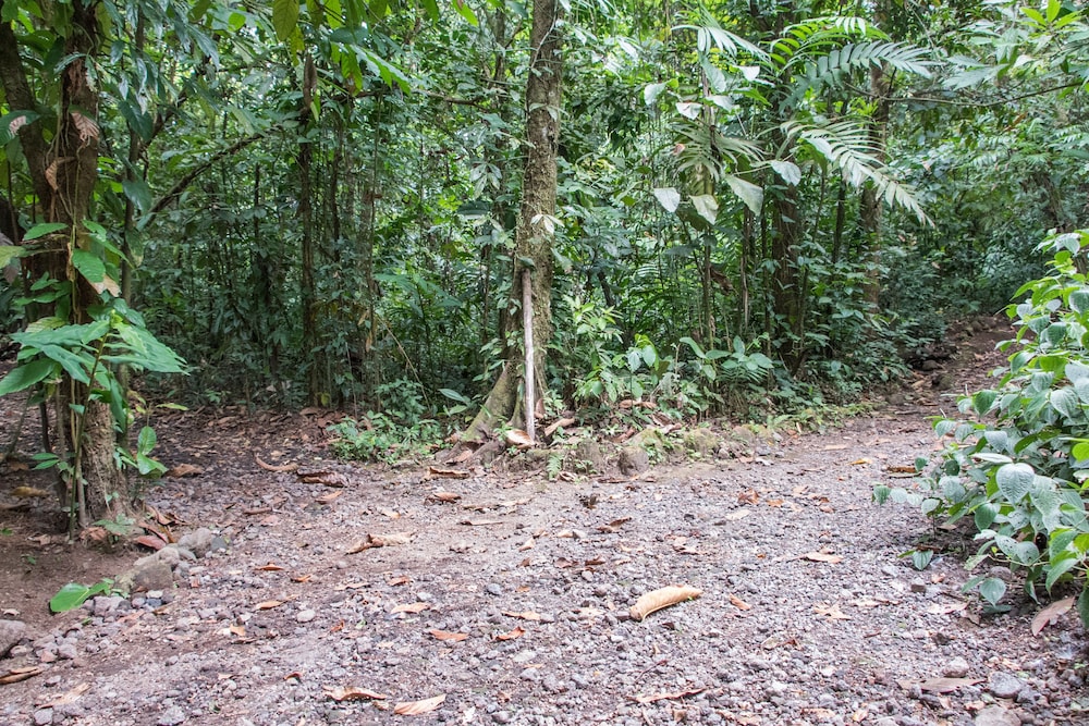 Arenal Oasis