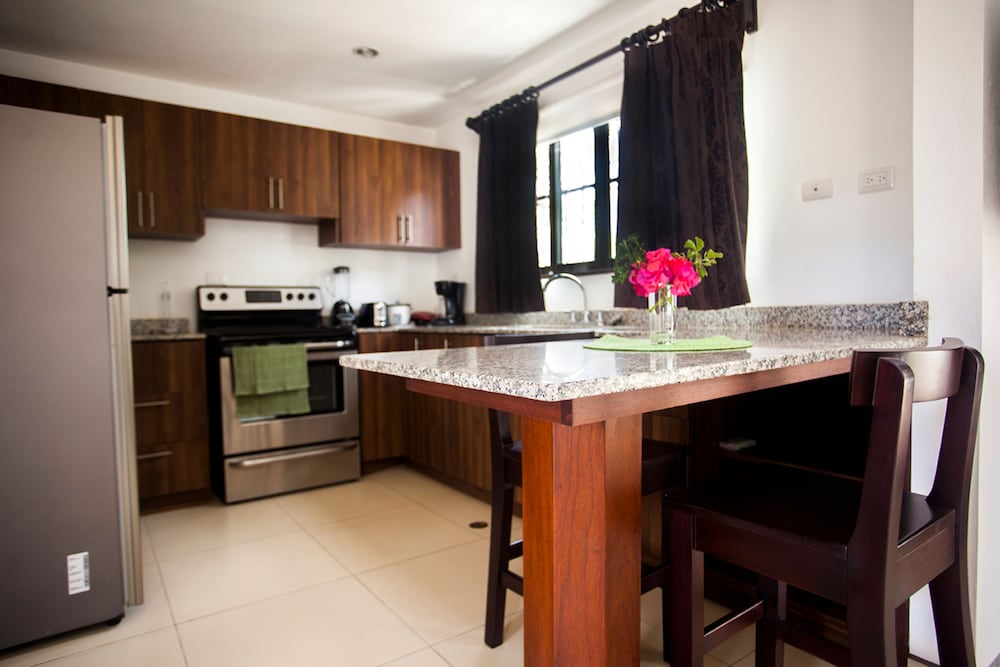 Playa Lagarto Eco Development